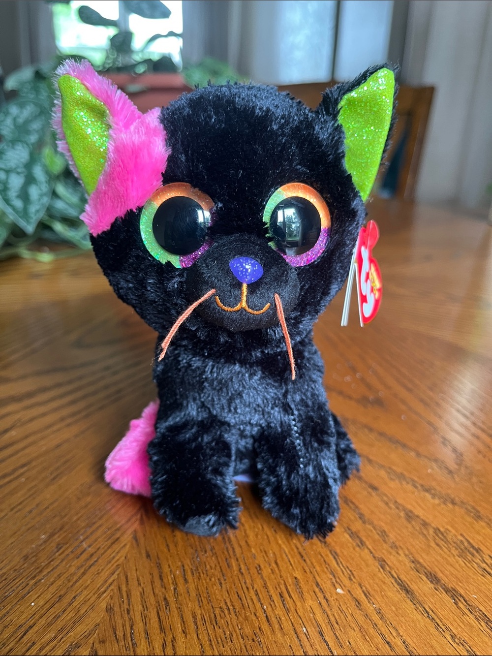 Ty Beanie Baby Boo LICORICE the Halloween Cat 6” NWT